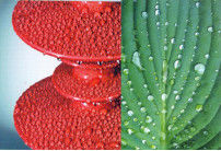 Silicone post Insulator for power Station