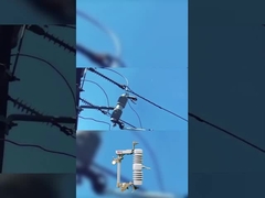 υψηλής ποιότητας διακόπτης ασφαλείας 40,5 kv πολυμερές ή κεραμικό διακόπτη ασφαλείας